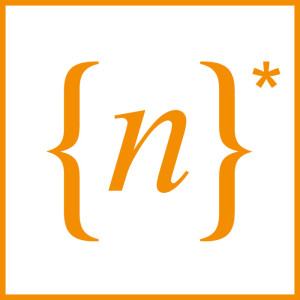 Nexus Snc, Sviluppo Web